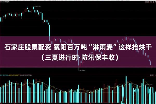 石家庄股票配资 襄阳百万吨“淋雨麦”这样抢烘干（三夏进行时·防汛保丰收）